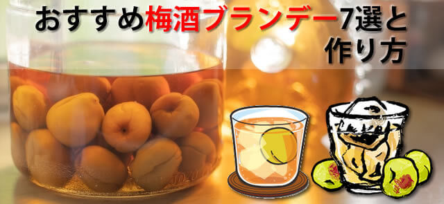Liquorcolumn