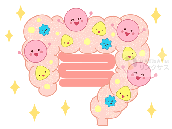 腸内環境を整えてくれる