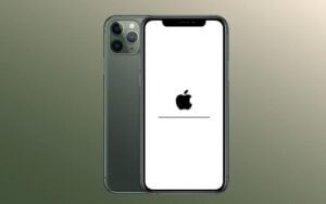 iPhone 11 Prp