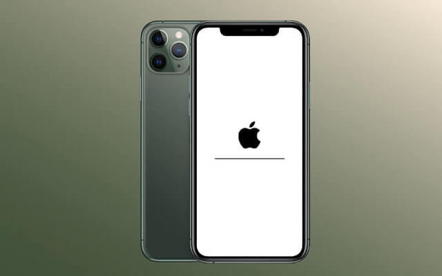 iPhone 11 Prp
