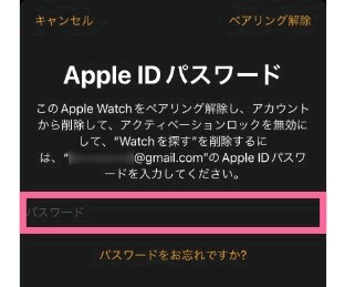 Apple IDのパスワードを入力する